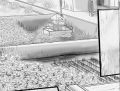 Thumbnail for version as of 19:26, 13 April 2023